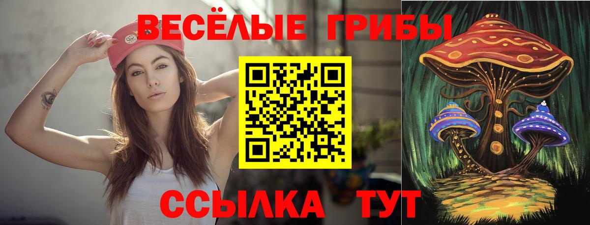 Орёл  Галлюциногенные грибы Cubensis  Вход с VPN 